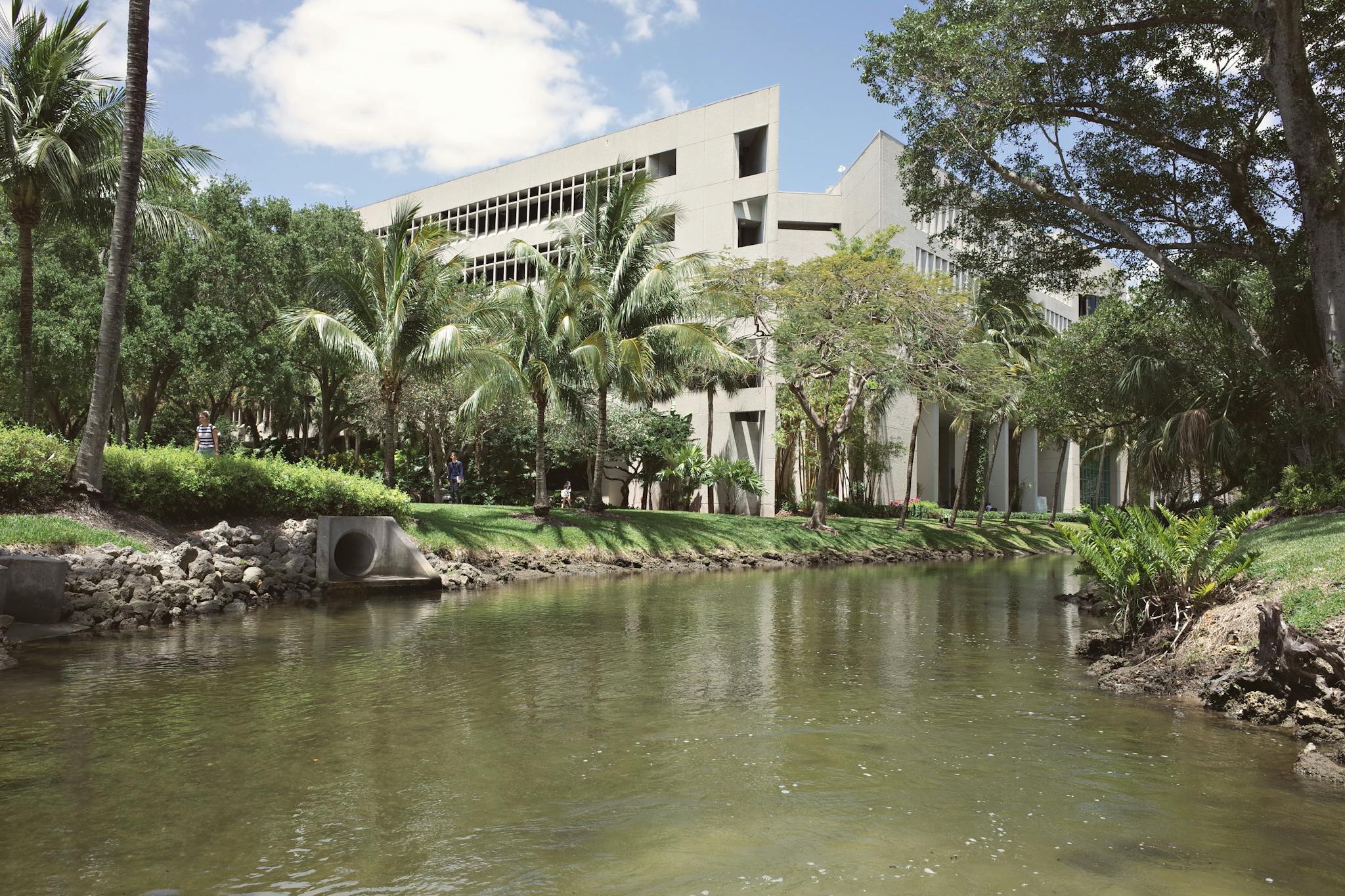 Serene view of the University of Miami campus with lush trees and a tranquil canal.